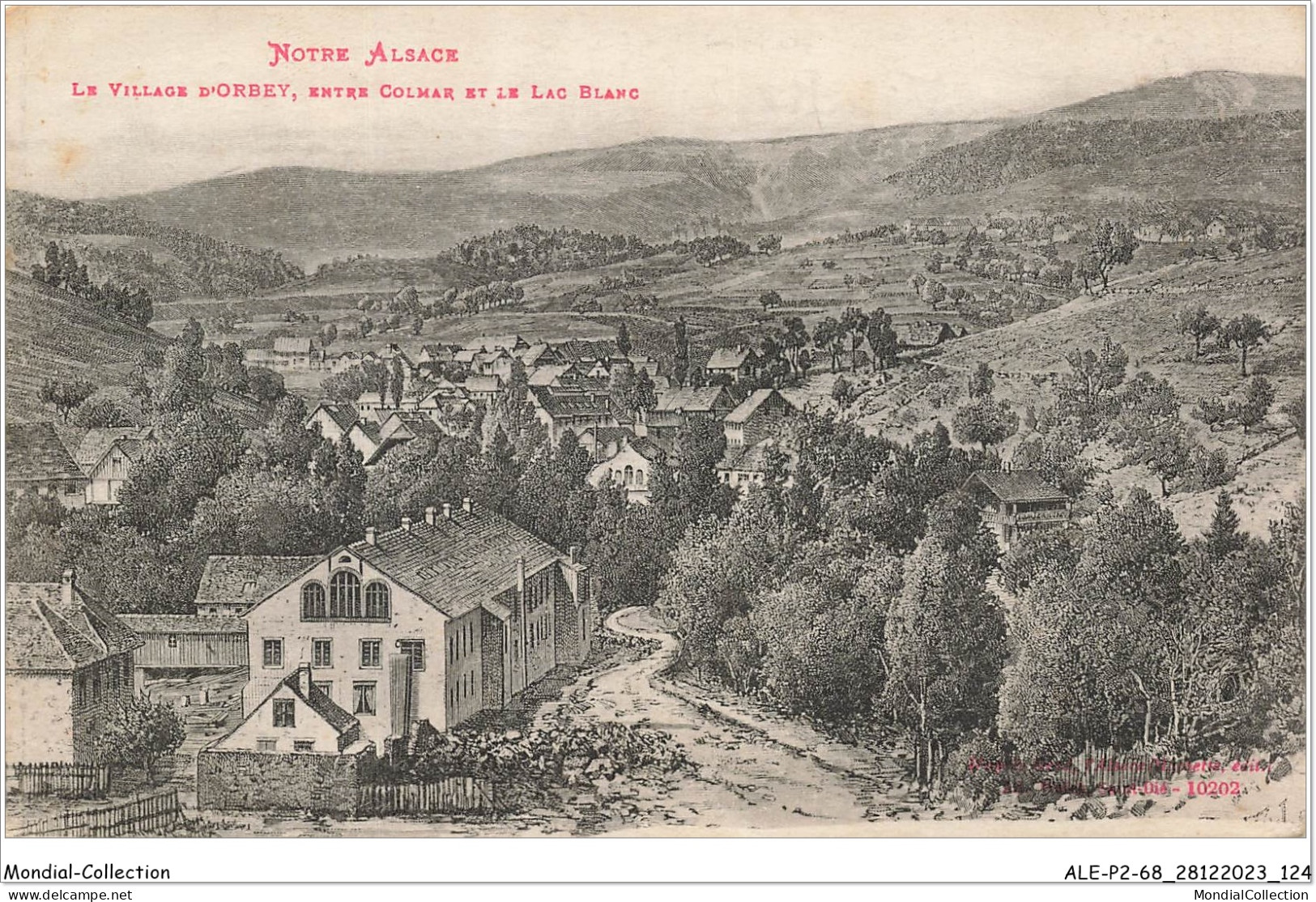 ALE1P2-68-0163 - Notre Alsace - Le Village D'ORBEY - Entre Colmar Et Le Lac Blanc  - Orbey