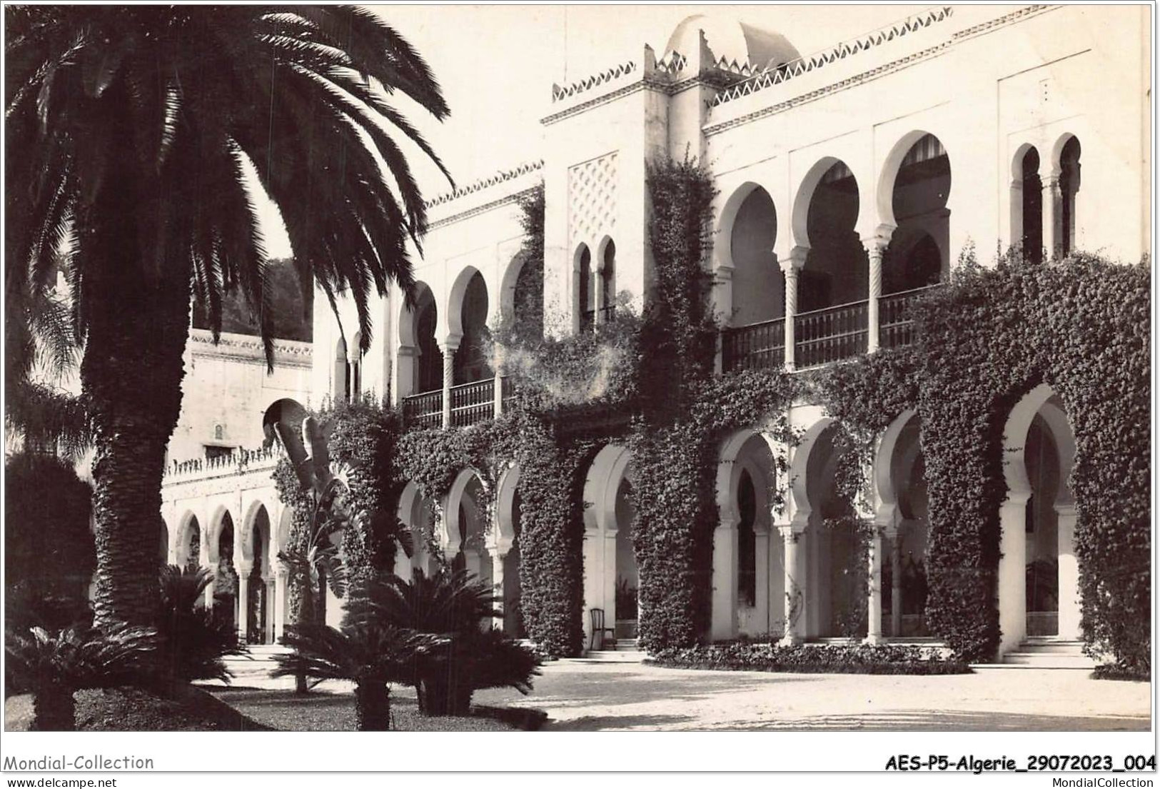 AESP5-ALGERIE-0396 - ALGER - Le Palais D'été De M Le Gouverneur Général - Algeri