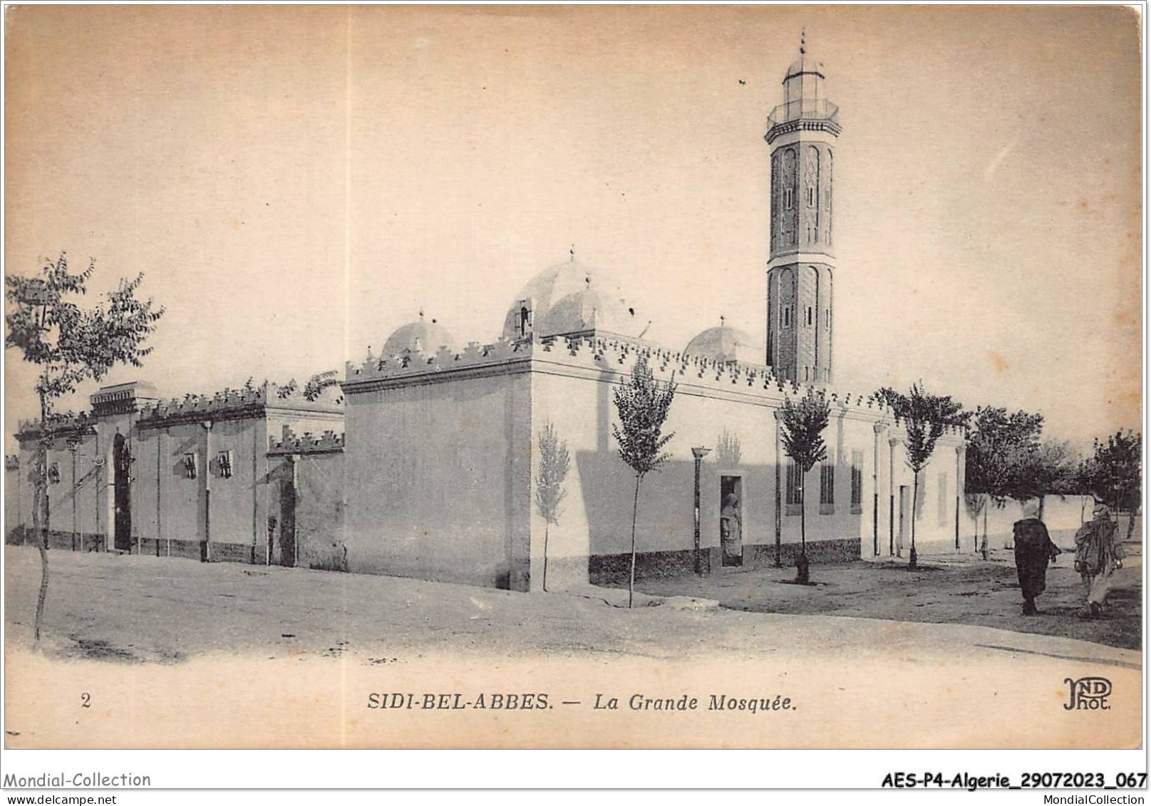 AESP4-ALGERIE-0327 - SIDI-BEL-ABBES - La Grande Mosquée  - Sidi-bel-Abbès
