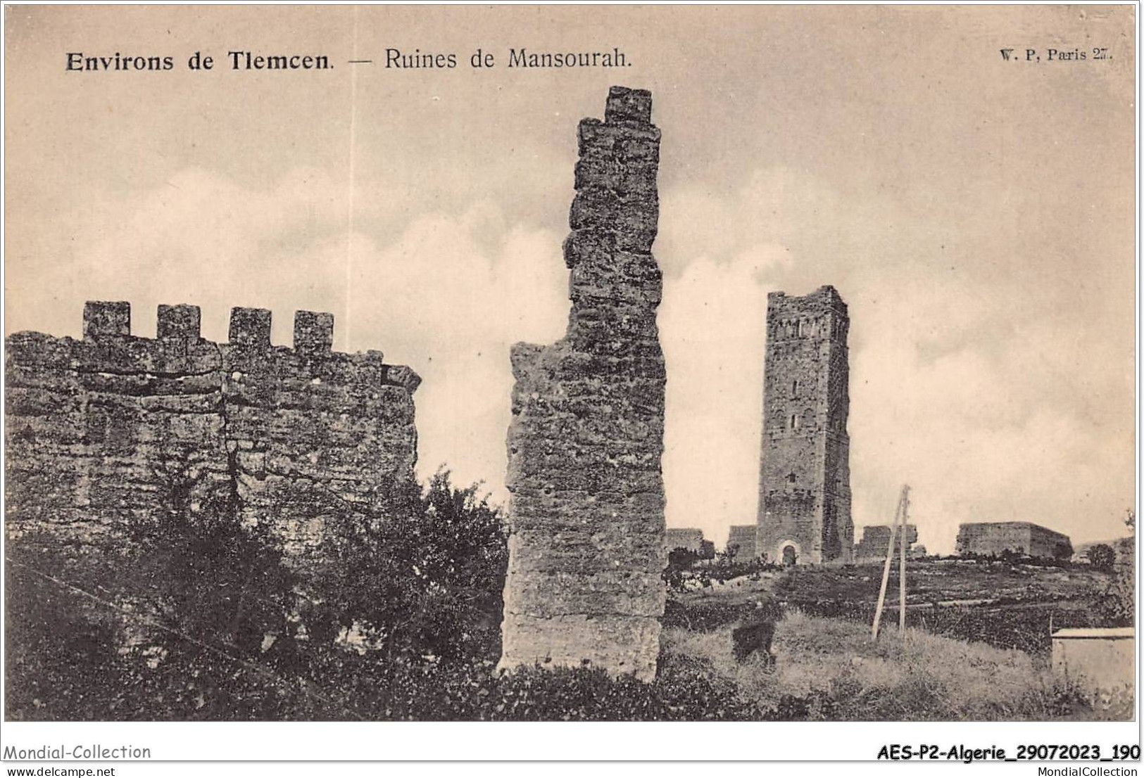 AESP2-ALGERIE-0197 - Environs De TLEMCEN - Ruines De Mansourah  - Tlemcen