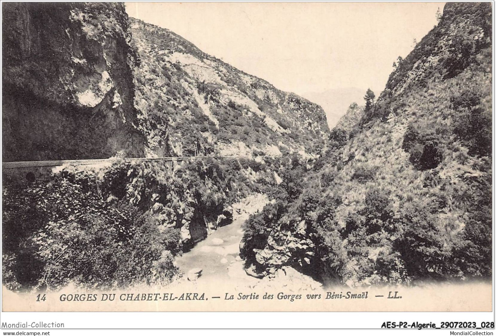 AESP2-ALGERIE-0116 - GORGES DU CHABET-EL-AKRA - La Sortie Des Gorges Vers Béni-smael  - Altri & Non Classificati