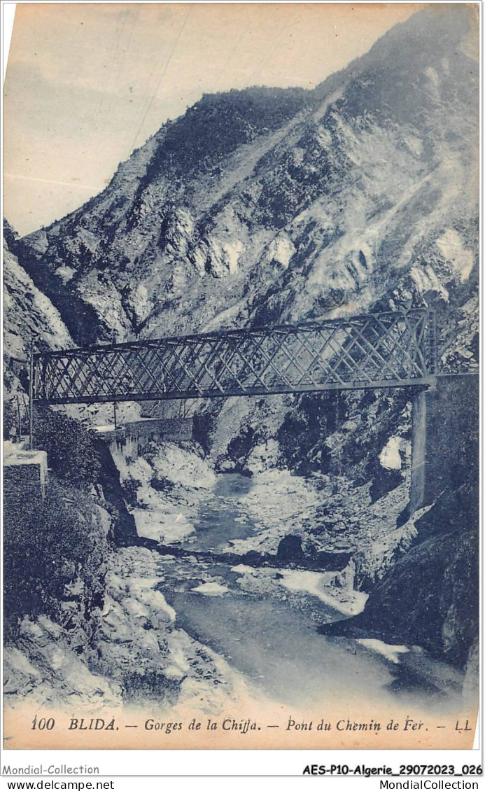 AESP10-ALGERIE-0892 - BLIDA - Gorges De La Chiffa - Pont Du Chemin De Fer  - Blida