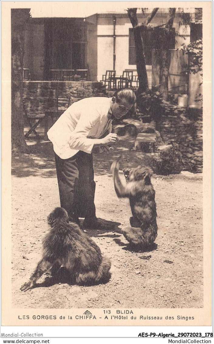 AESP9-ALGERIE-0865 - BLIDA - Les Gorges De La Chiffa - A L'hôtel Du Ruisseau Des Singes  - Blida