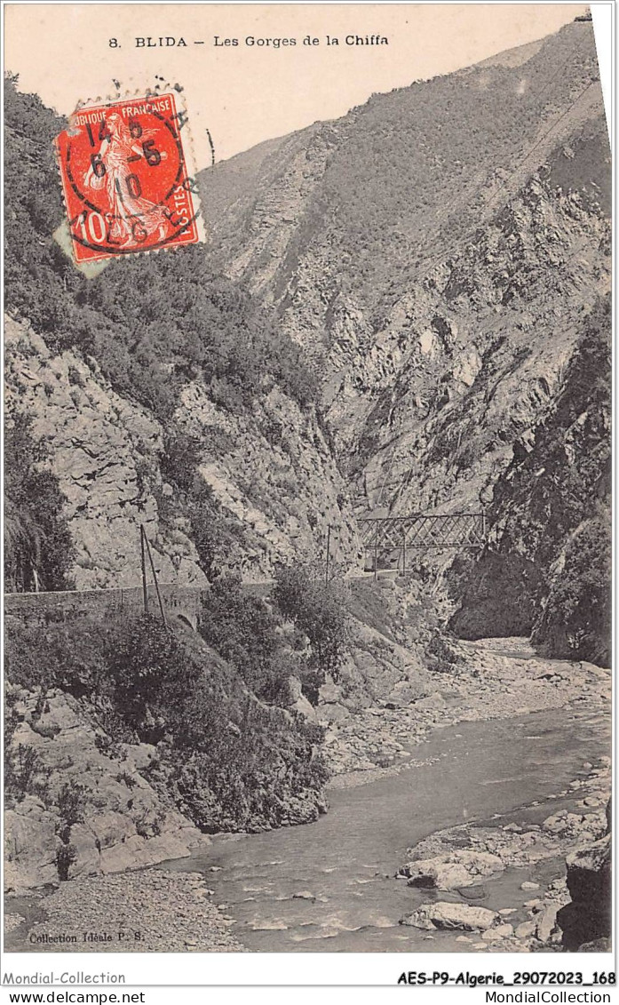 AESP9-ALGERIE-0860 - BLIDA - Les Gorges De La Chiffa  - Blida