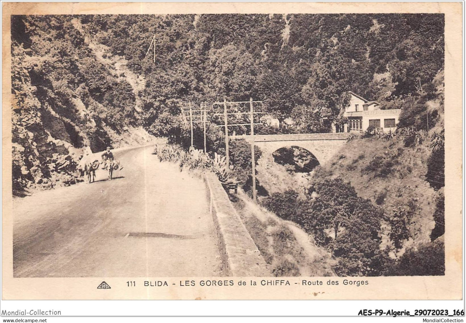 AESP9-ALGERIE-0859 - BLIDA - Les Gorges De La Chiffa - Route Des Gorges  - Blida