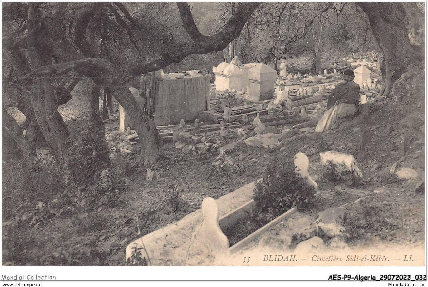 AESP9-ALGERIE-0791 - BLIDAH - Cimétière Sidi-el-kébir  - Blida