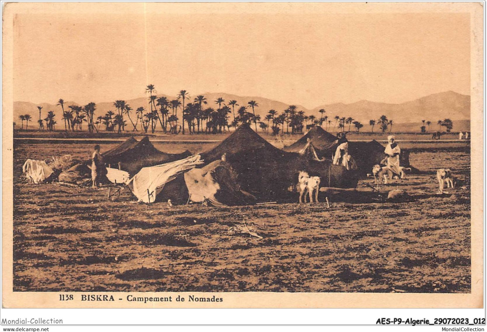 AESP9-ALGERIE-0781 - BISKRA - Campement De Nomades  - Biskra