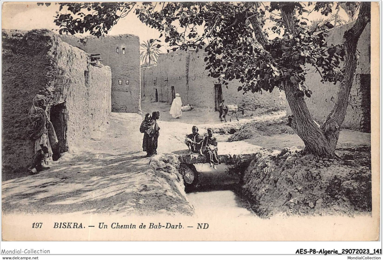 AESP8-ALGERIE-0750 - BISKRA - Un Chemin De Bab-darb  - Biskra