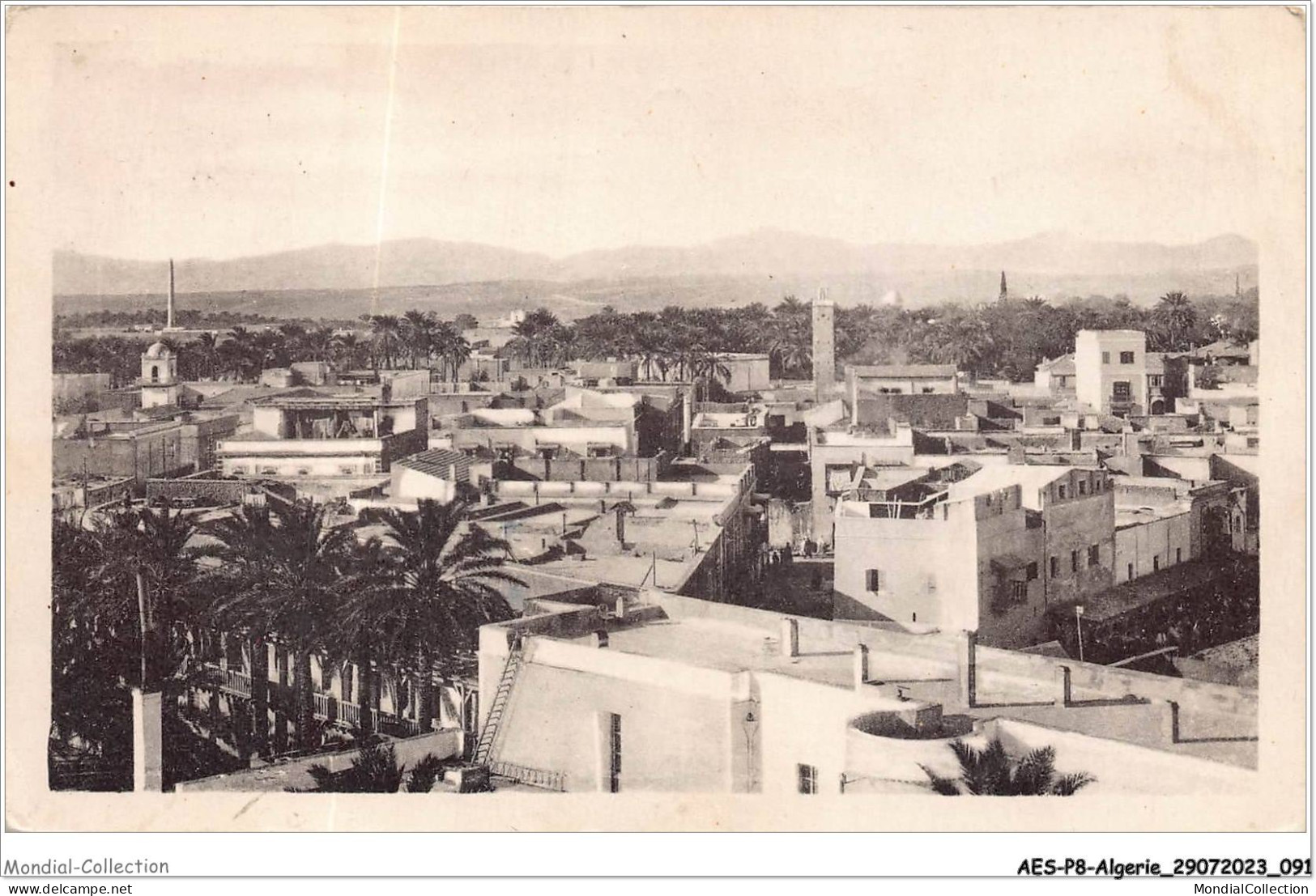 AESP8-ALGERIE-0725 - BISKRA - Vue Générale  - Biskra