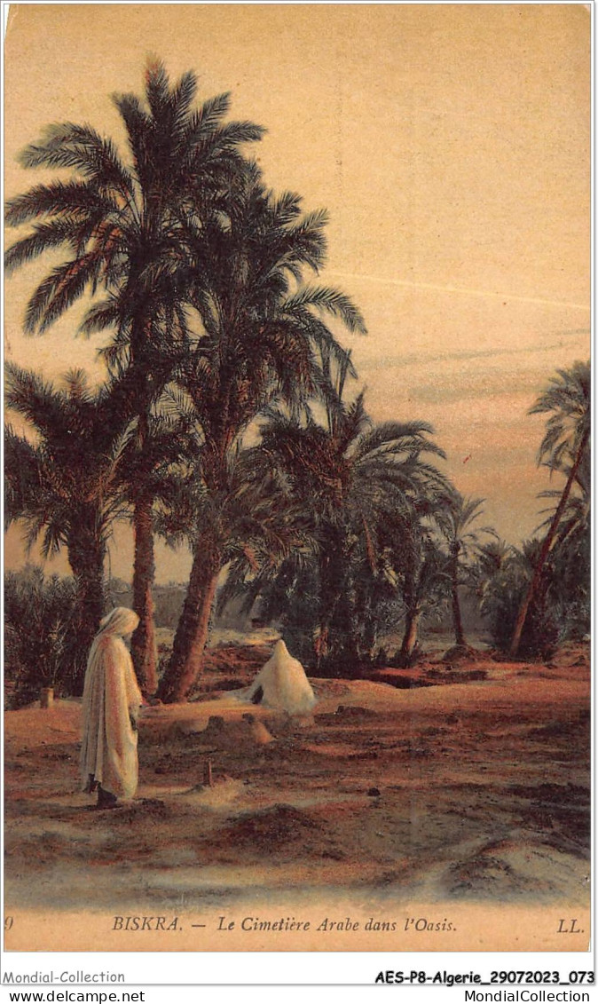 AESP8-ALGERIE-0716 - BISKRA - Le Cimetière Arabe Dans L'oasis  - Biskra