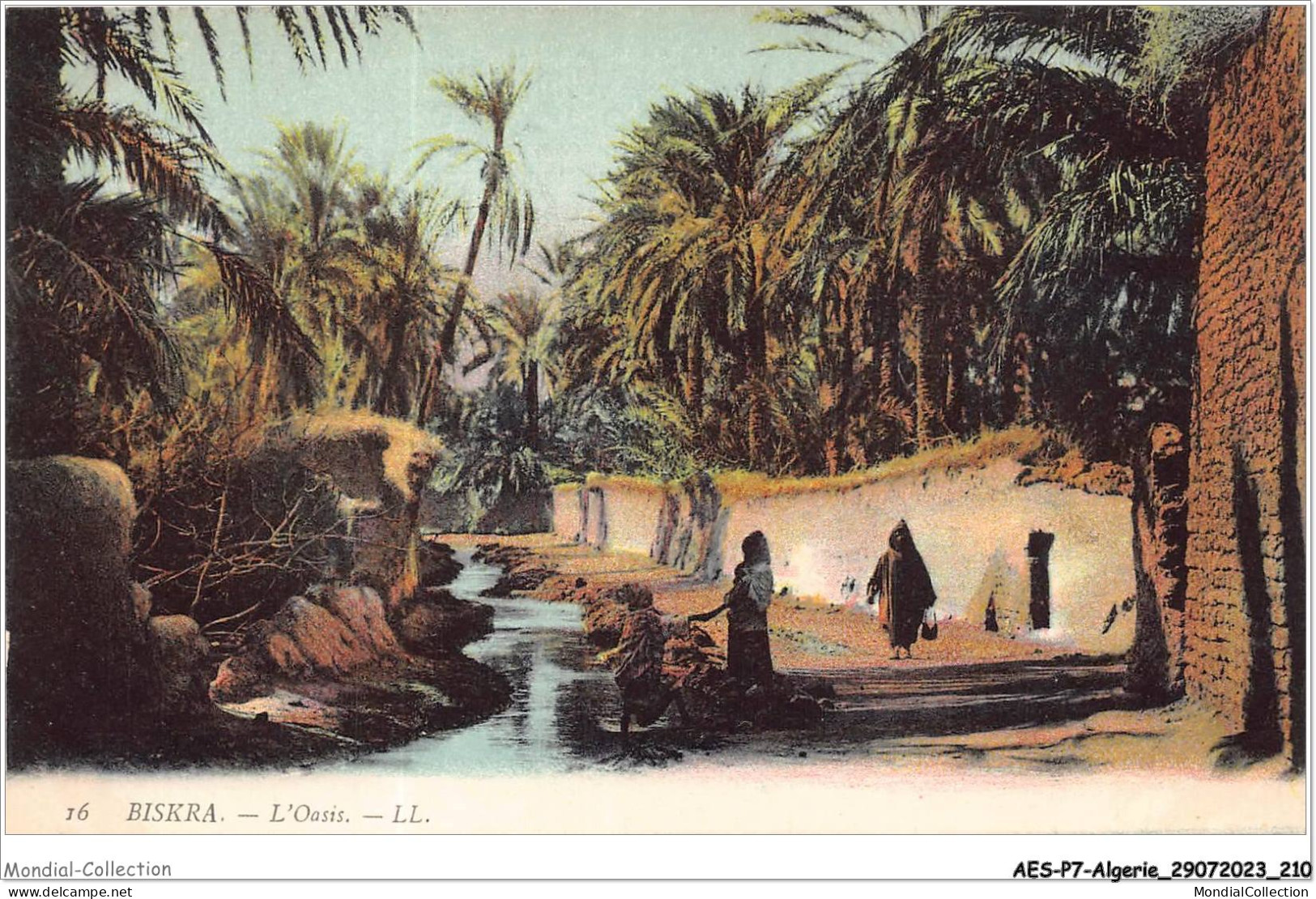 AESP7-ALGERIE-0678 - BRISKRA - L'oasis  - Biskra