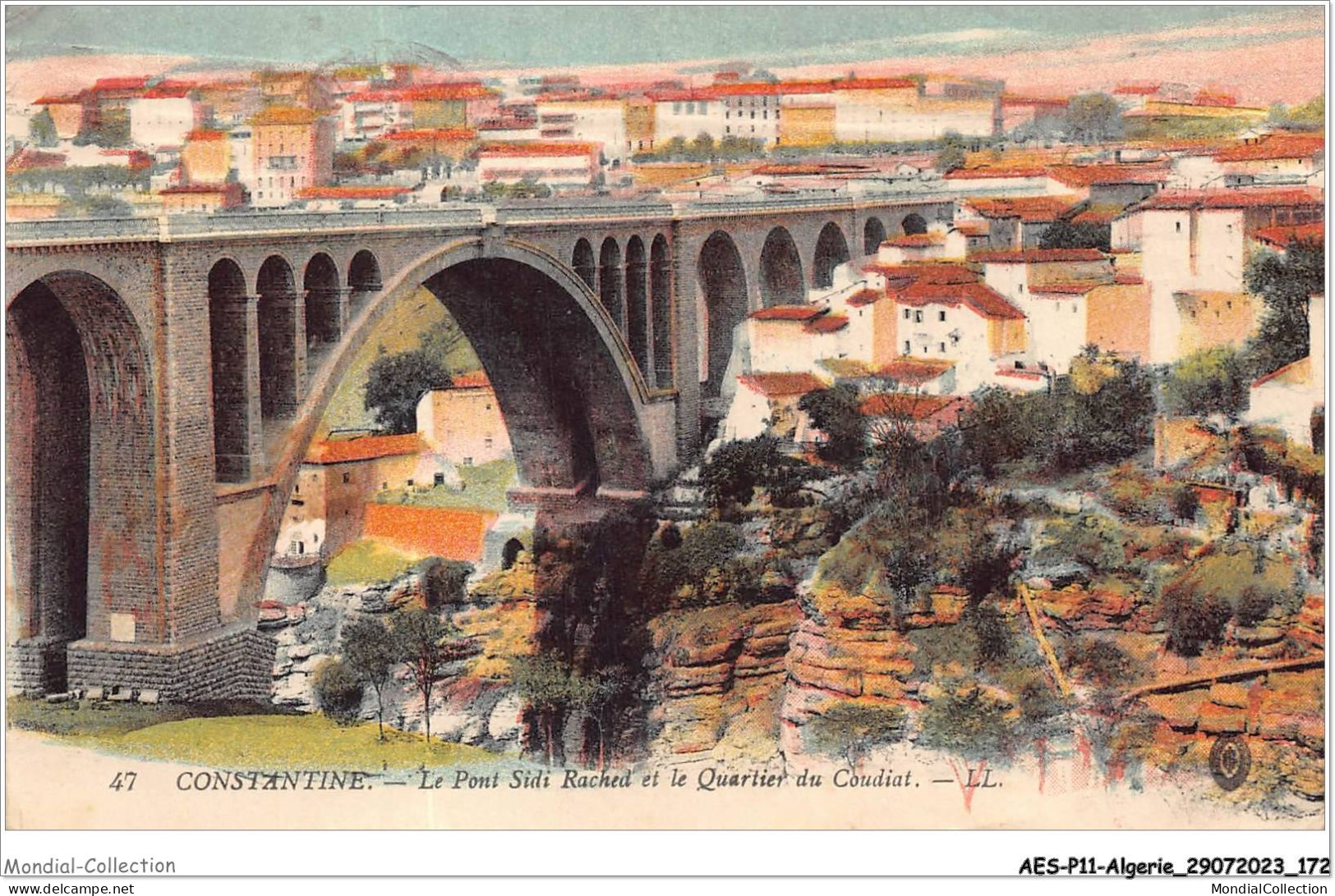 AESP11-ALGERIE-1068 - CONSTANTINE - Le Pont Sidi Rached Et Le Quartier Du Coudiat  - Constantine