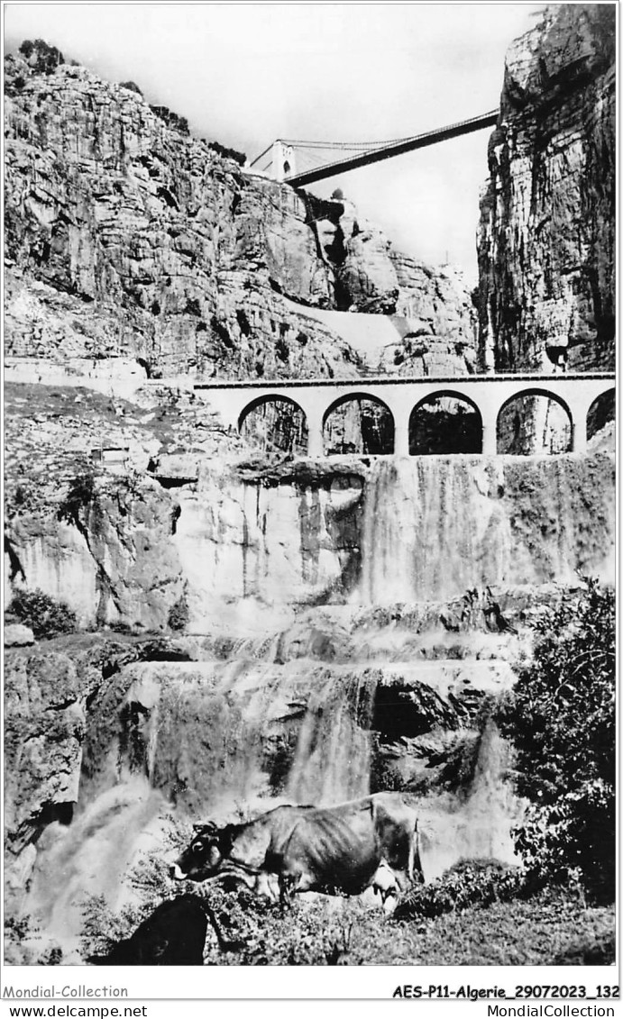 AESP11-ALGERIE-1048 - CONSTANTINE - Pont Suspendu De Sidi M'cid Vu Des Gorges Du Rhumel  - Constantine