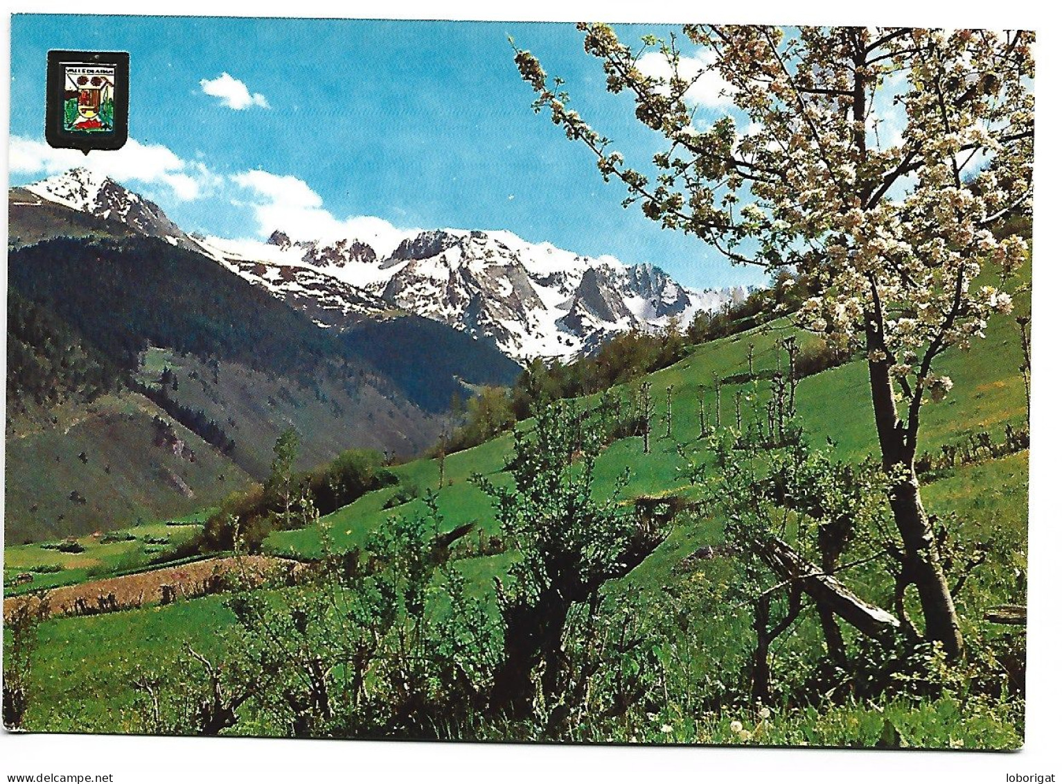 PAISATGE TIPIC / TYPICAL LANDSCAPE.- VALLE DE ARAN, PIRINEU CATALA.- LLEIDA.- ( CATALUNYA) - Lérida