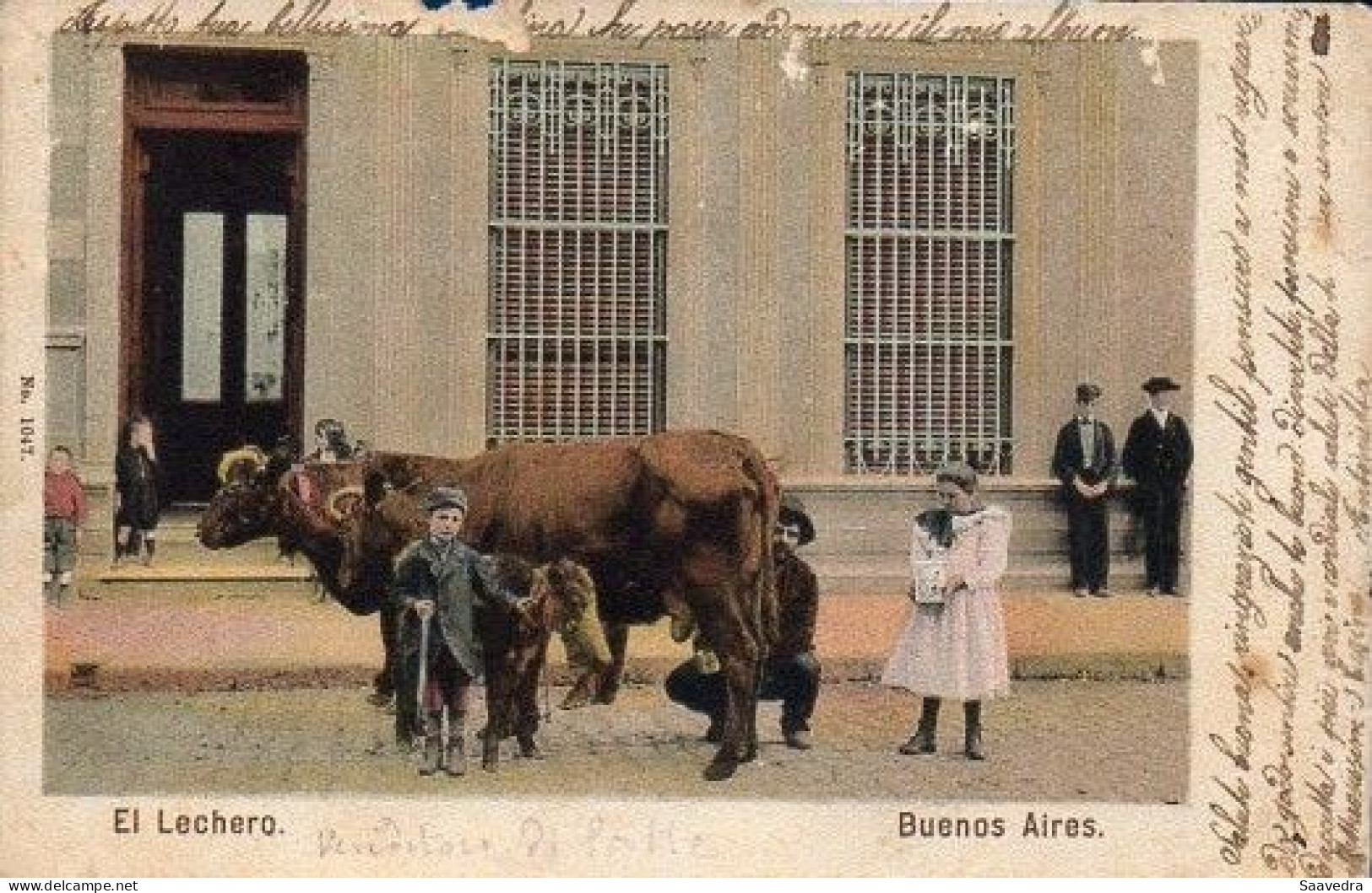 Argentina, Buenos Aires, 1905, Vendedores Ambulantes De Leche (peddler), Used Postcard  (218) - Argentinien