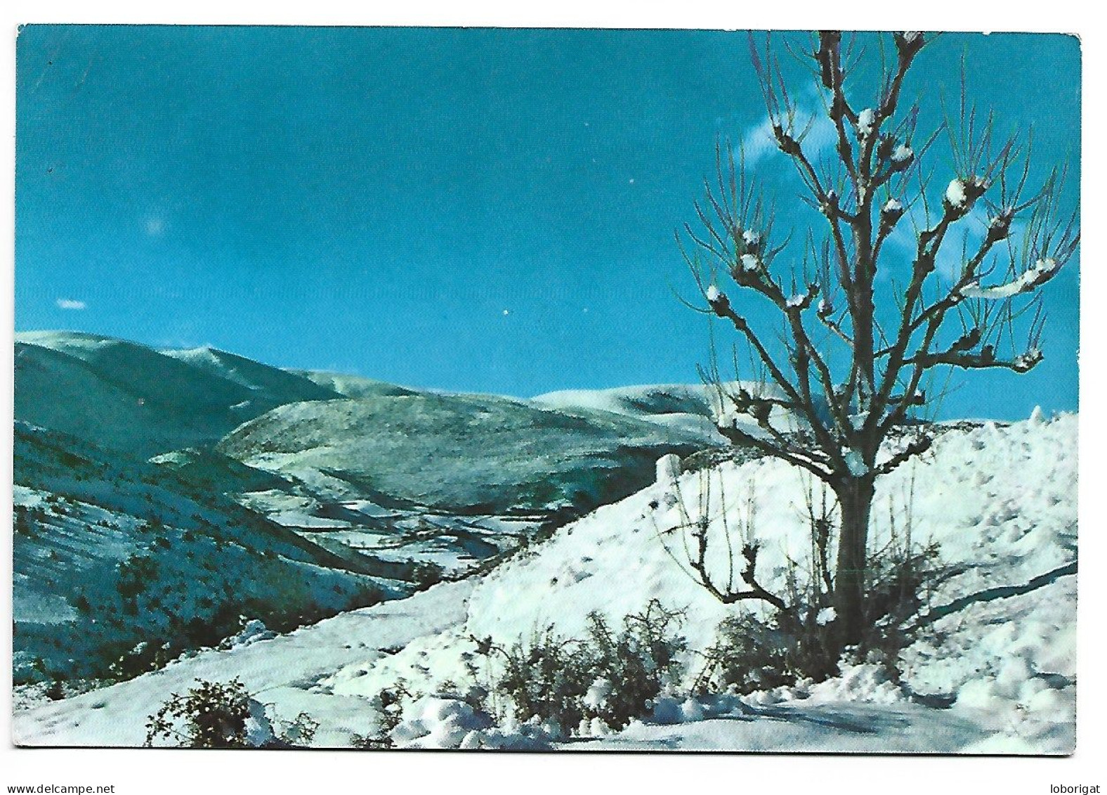 PARTIAL VIEW FROM THE PERBES PASS.- PIRINEOS CENTRALES.-  PONT DE SUERT / LLEIDA.- ( CATALUNYA) - Lérida