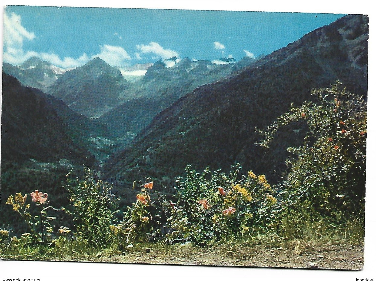 ARTIGA DE LIN Y ANETO.-  VALLE DE ARAN.- LLEIDA.- ( CATALUNYA) - Lérida