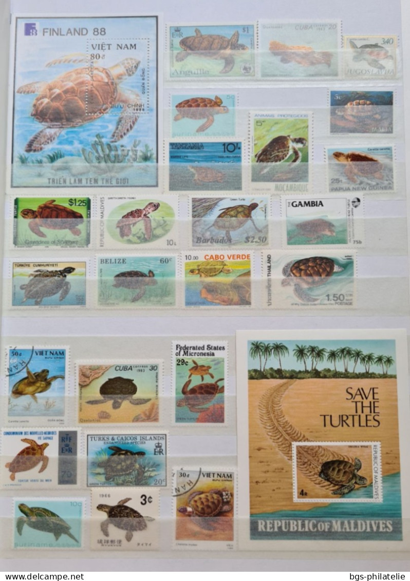 Collection De Timbres Sur Le Thème Des Tortues. - Collections (without Album)