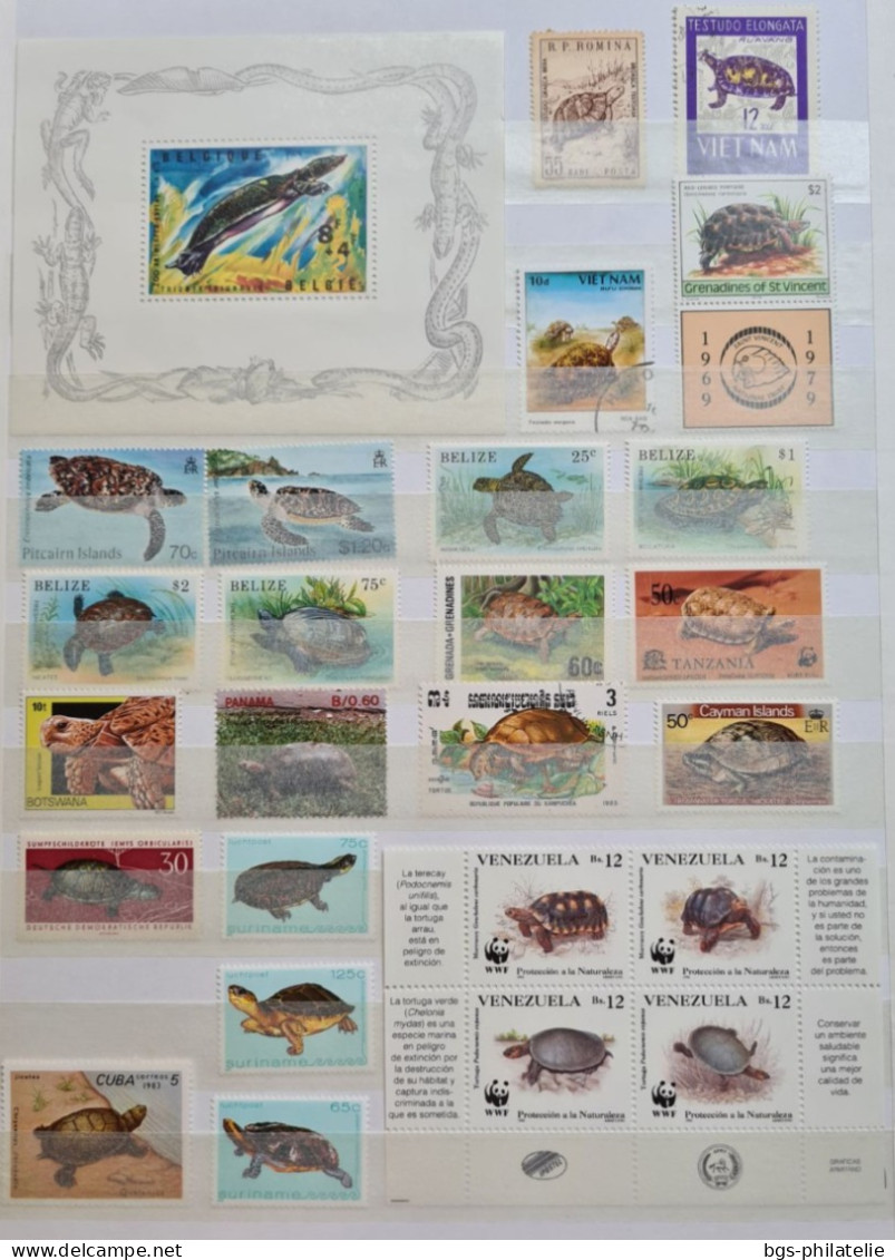 Collection De Timbres Sur Le Thème Des Tortues. - Collections (without Album)