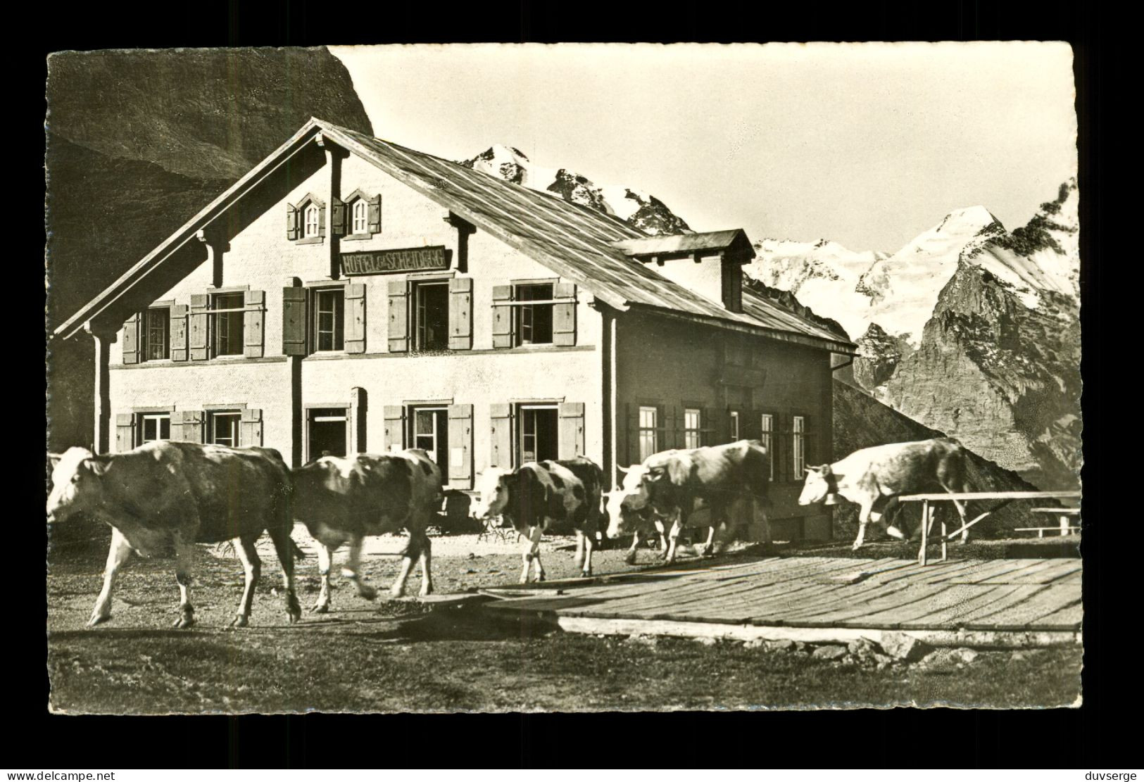 Suisse BE Grosse Scheidegg Grindenwald   ( Format 9cm X 14cm ) - Grindelwald