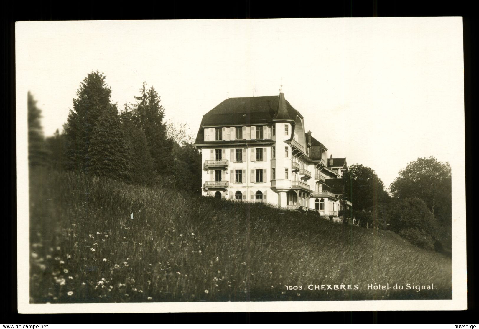 Suisse VD Vaud Chexbres Hotel Du Signal  ( Format 9cm X 14cm ) - Chexbres