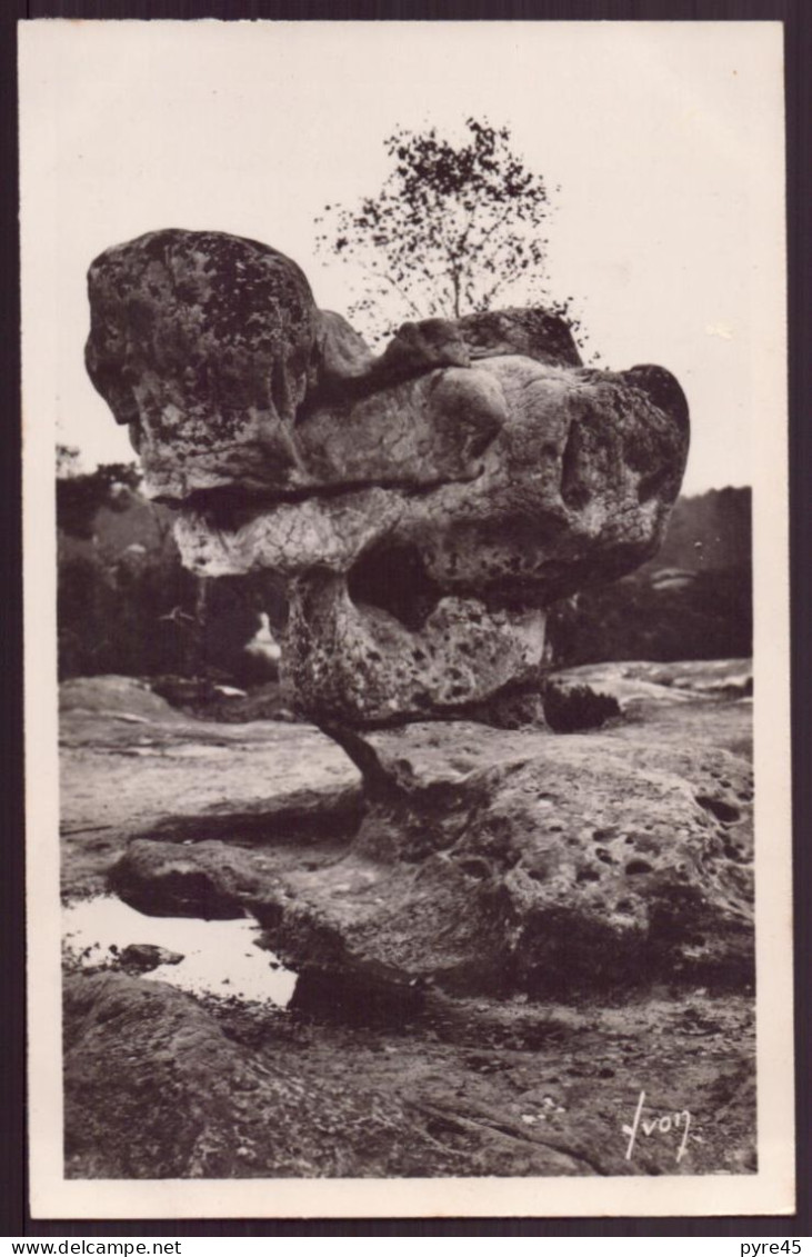 FONTAINEBLEAU LA FORET FRANCHARD LE SPHINX DES DRUIDES 77 - Fontainebleau