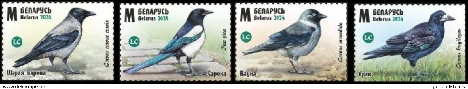BELARUS 2024 FAUNA Animals. Birds. Corvids CROW MAGPIE - Fine Set MNH - Bielorussia