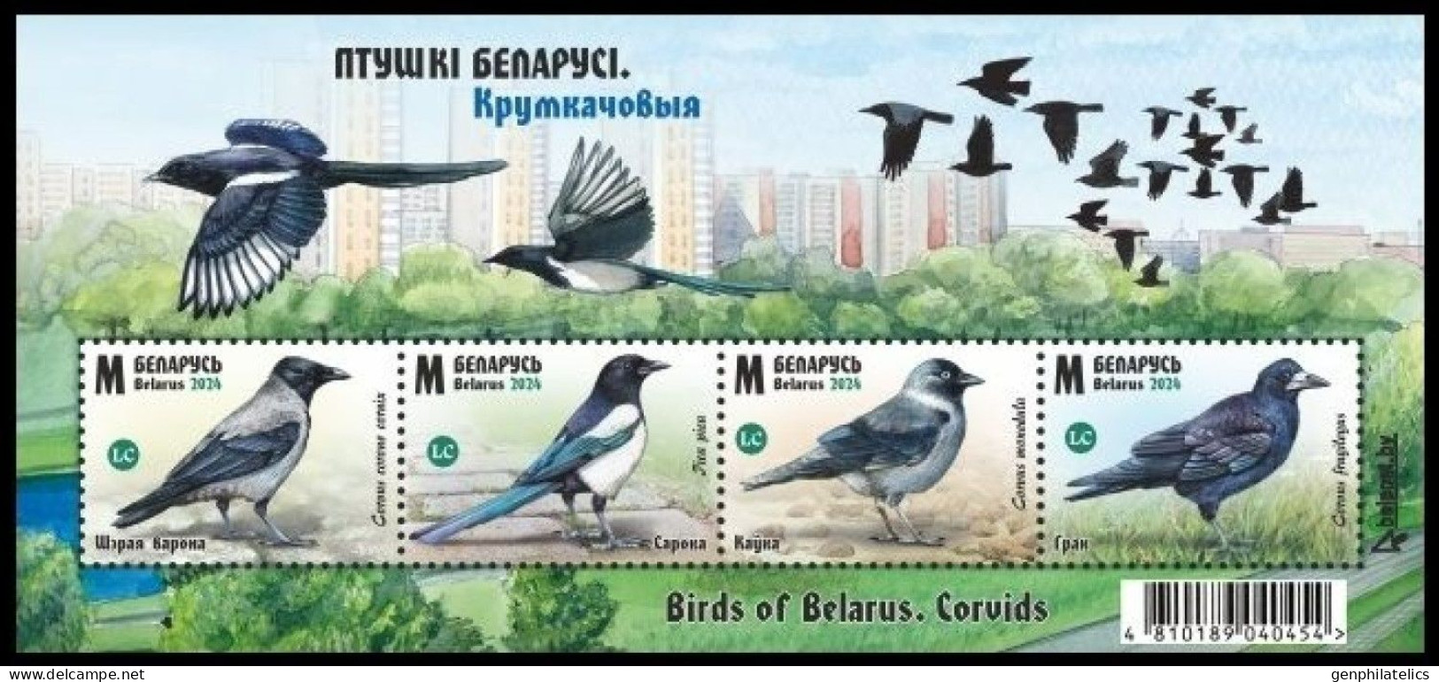 BELARUS 2024 FAUNA Animals. Birds. Corvids CROW MAGPIE - Fine S/S MNH - Belarus