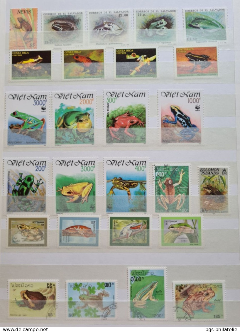 Collection De Timbres Sur Le Thème Des Grenouilles,  Des Serpents,  Des Crocodiles Etc.... - Collections (without Album)