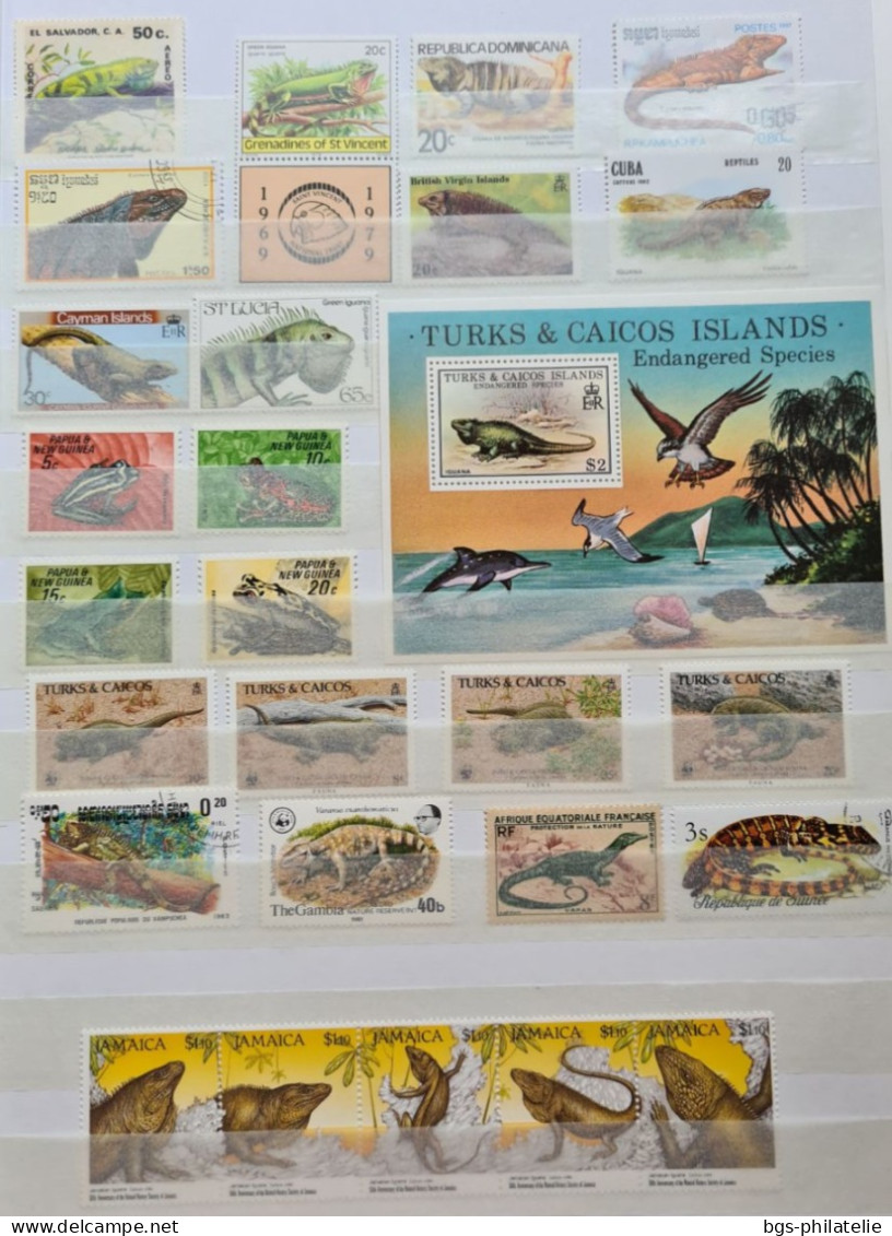 Collection De Timbres Sur Le Thème Des Grenouilles,  Des Serpents,  Des Crocodiles Etc.... - Collections (sans Albums)