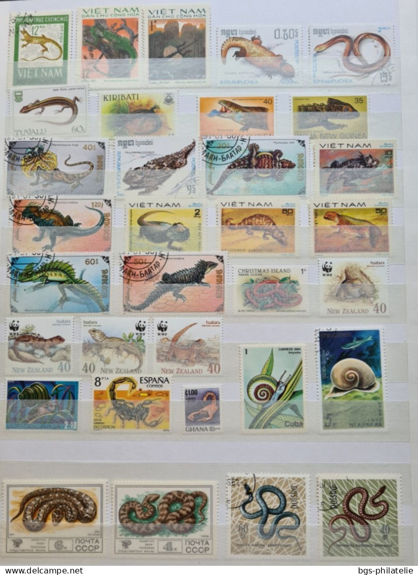 Collection de timbres sur le thème des grenouilles,  des serpents,  des crocodiles etc....