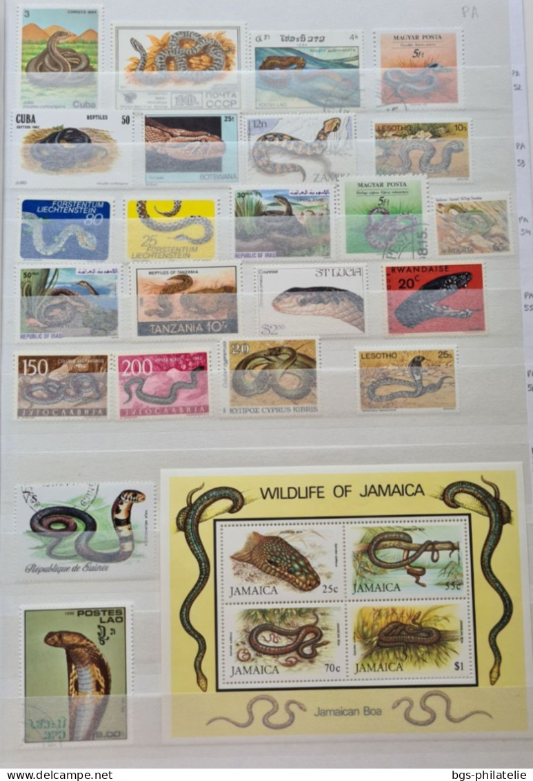 Collection de timbres sur le thème des grenouilles,  des serpents,  des crocodiles etc....