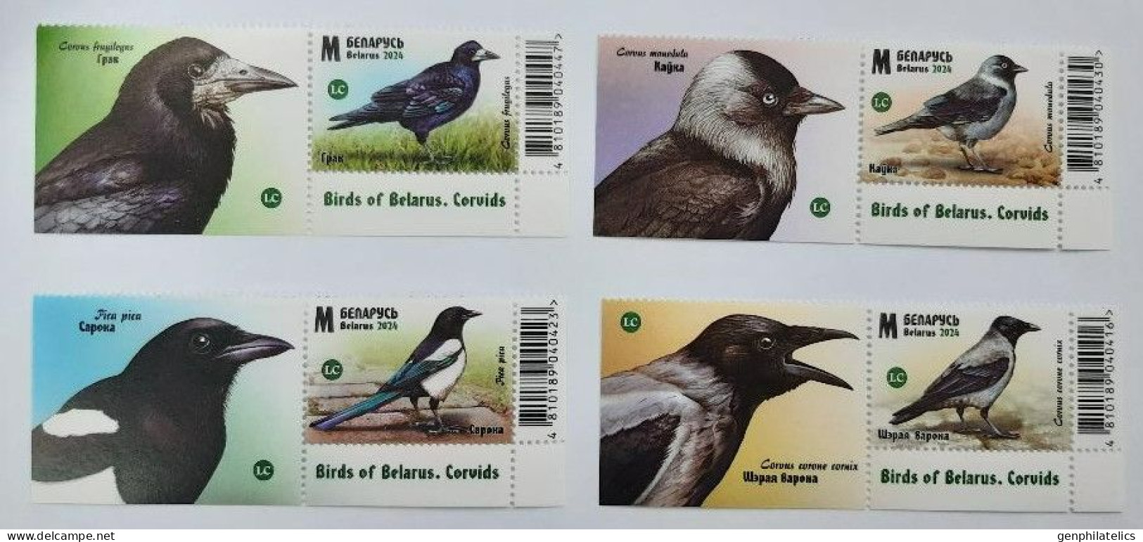 BELARUS 2024 FAUNA Animals. Birds. Corvids CROW MAGPIE - Fine Set + Labels MNH - Belarus