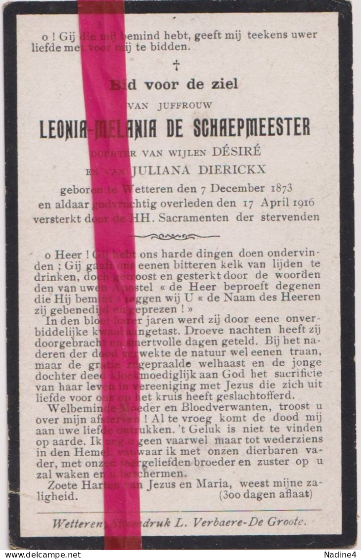Devotie Doodsprentje Overlijden - Leonia De Schaepmeester Dochter Désiré & JUliana Dierickx - Wetteren 1873 - 1916 - Décès