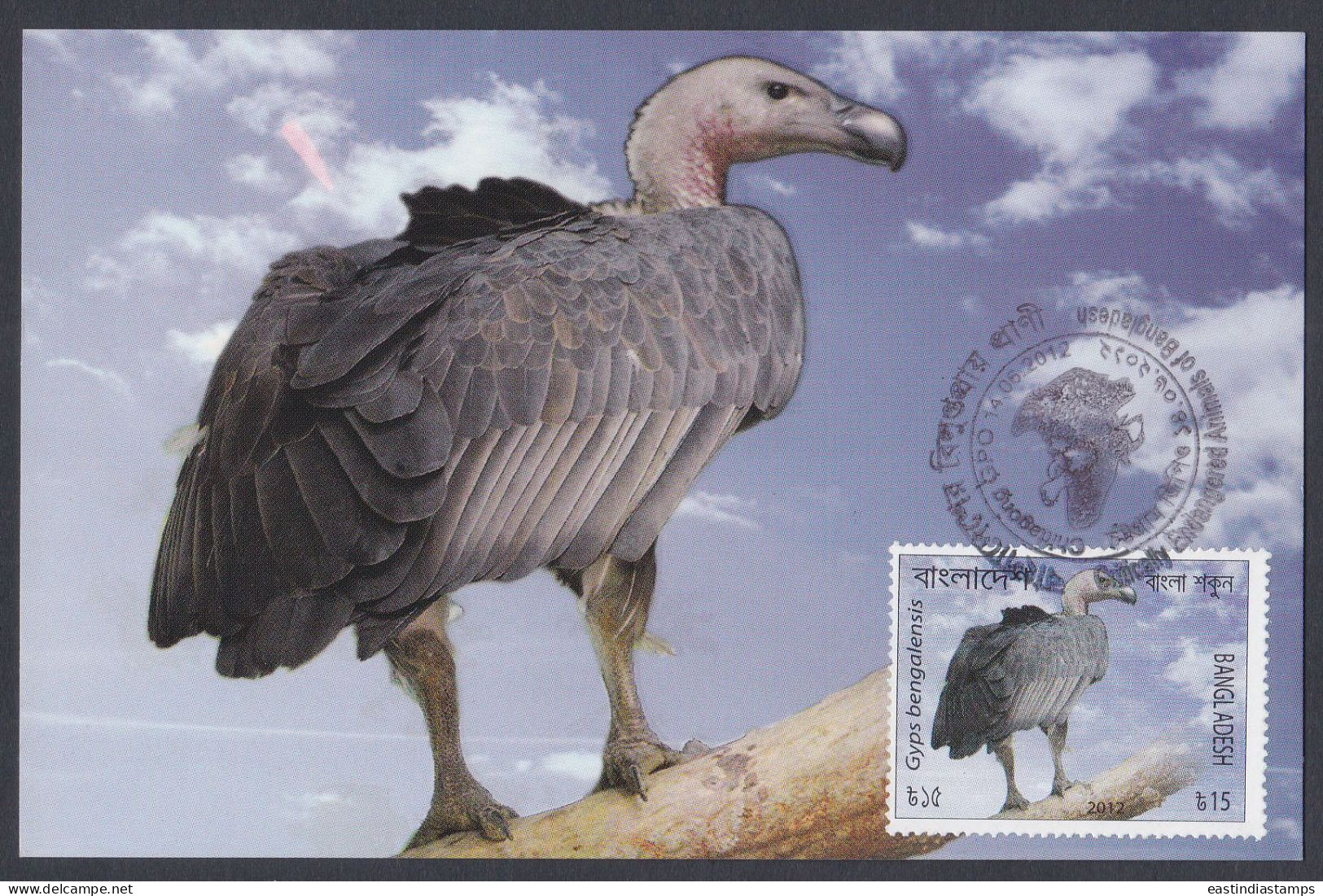 Bangladesh 2012 Postcard Endangered Animals, White Rumped Vulture, Bird, Birds - Bangladesch