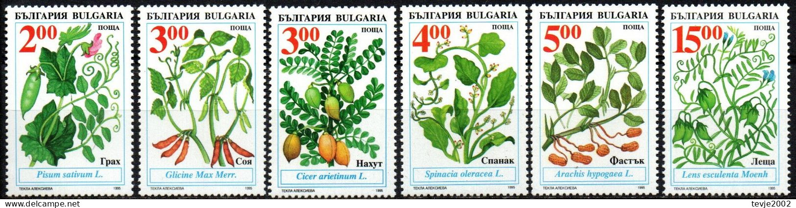 Bulgarien 1995 - Mi.Nr. 4168 - 4173 - Postfrisch MNH - Pflanzen Plants Gemüse Crops - Legumbres