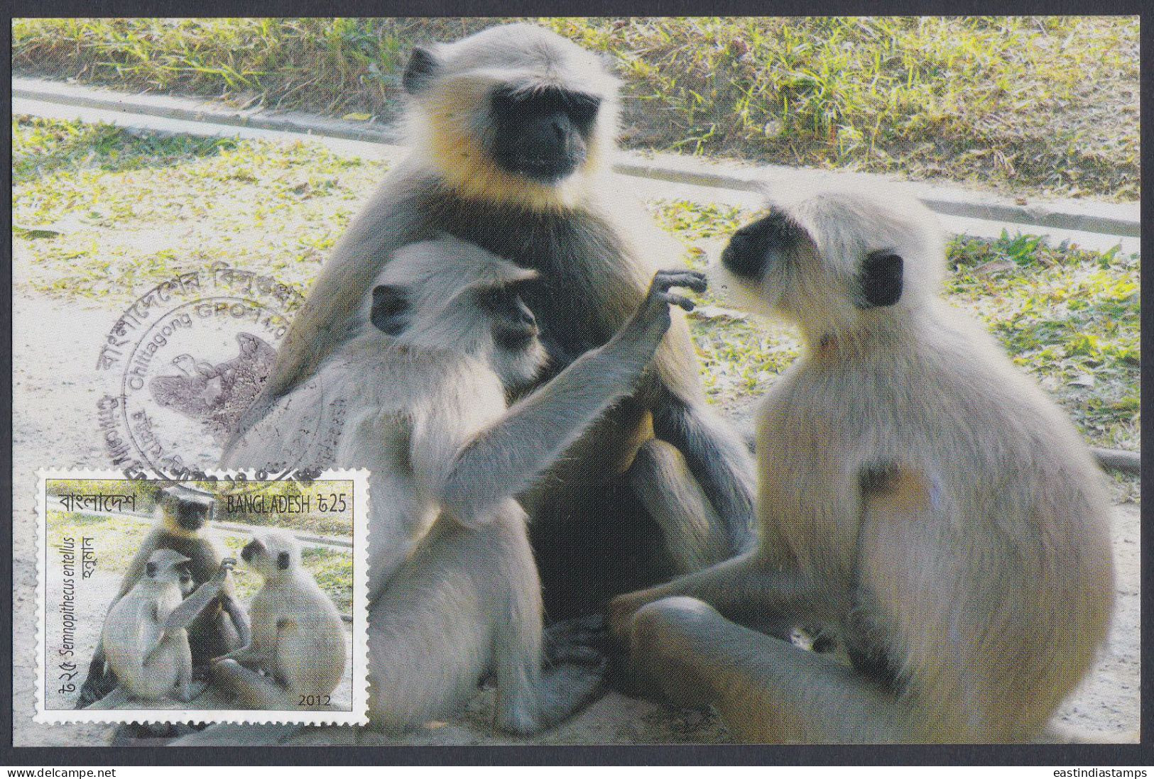 Bangladesh 2012 Postcard Endangered Animals, Hanuman Langur, Monkey - Bangladesch