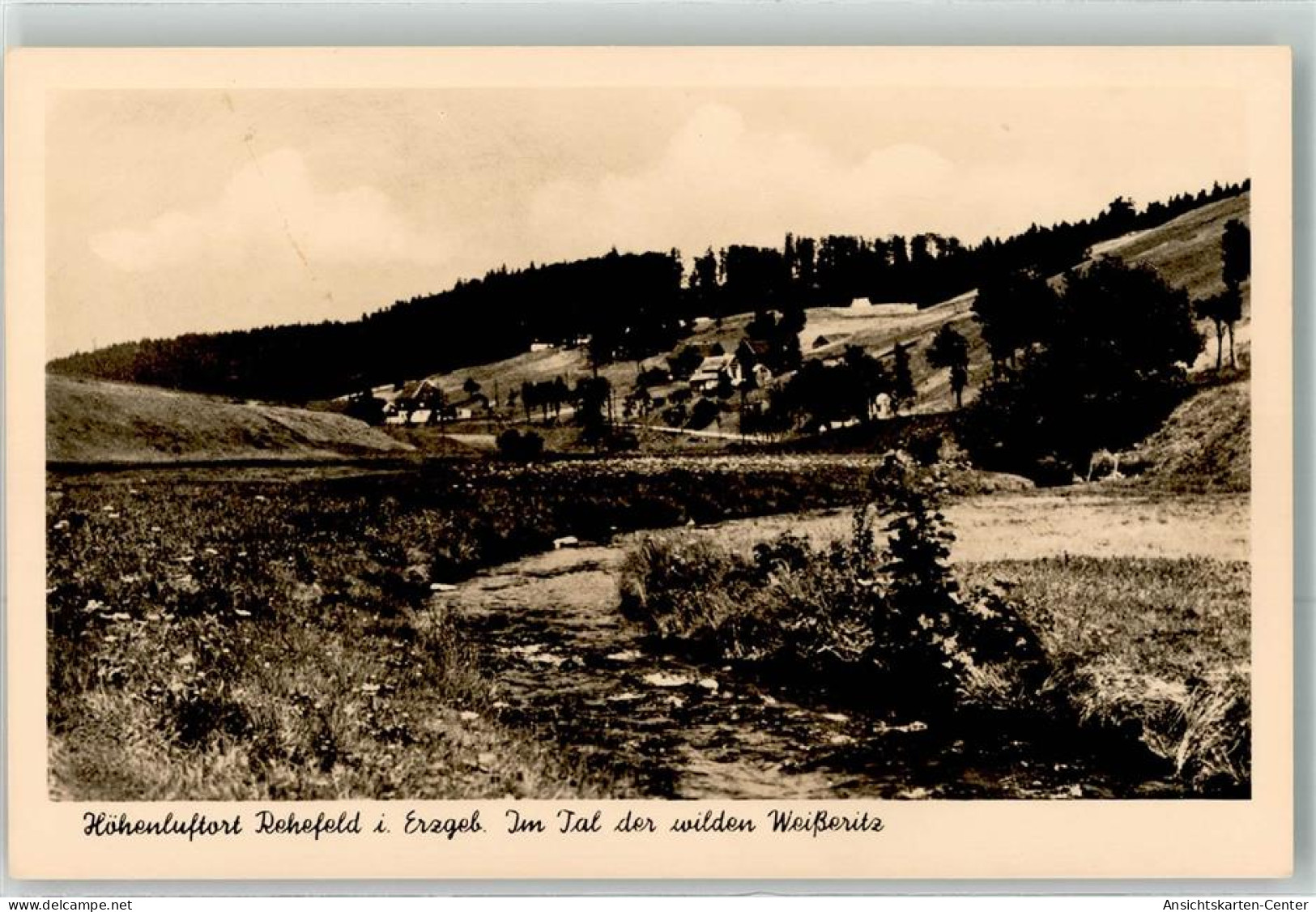 39458906 - Rehefeld-Zaunhaus - Altenberg