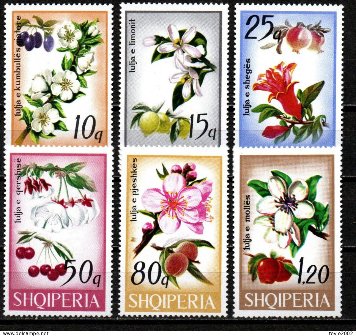 Albanien 1969 - Mi.Nr. 1362 - 1367 - Postfrisch MNH - Pflanzen Plants Obst Fruits - Obst & Früchte