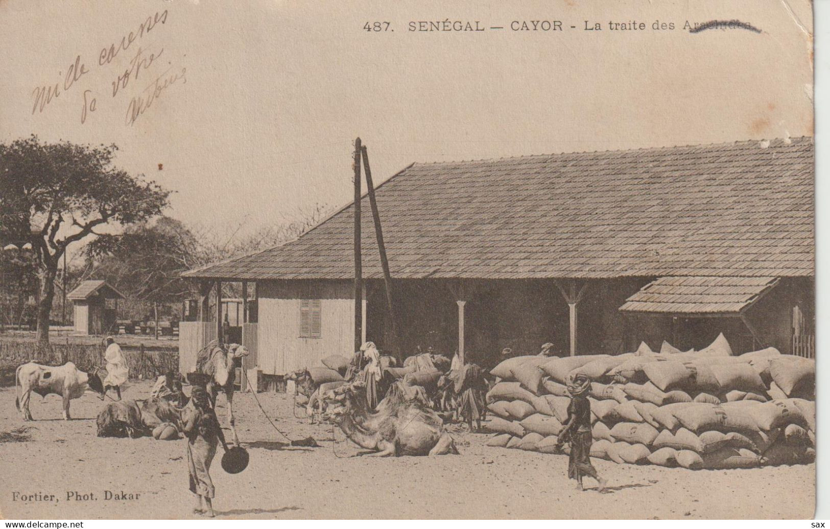 2418-237 Av 1905 N°487 Séné Cayor Traite Des Arachides Fortier Photo Dakar   Retrait 18-05 - Senegal