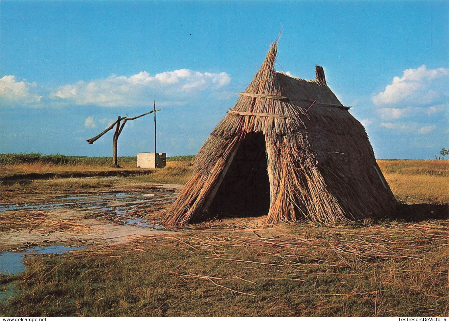 AUTRICHE - Apetlon - PuBtabrunnen Im Seewinkel - Burgenland - Osterreich - Carte Postale - Neusiedlerseeorte