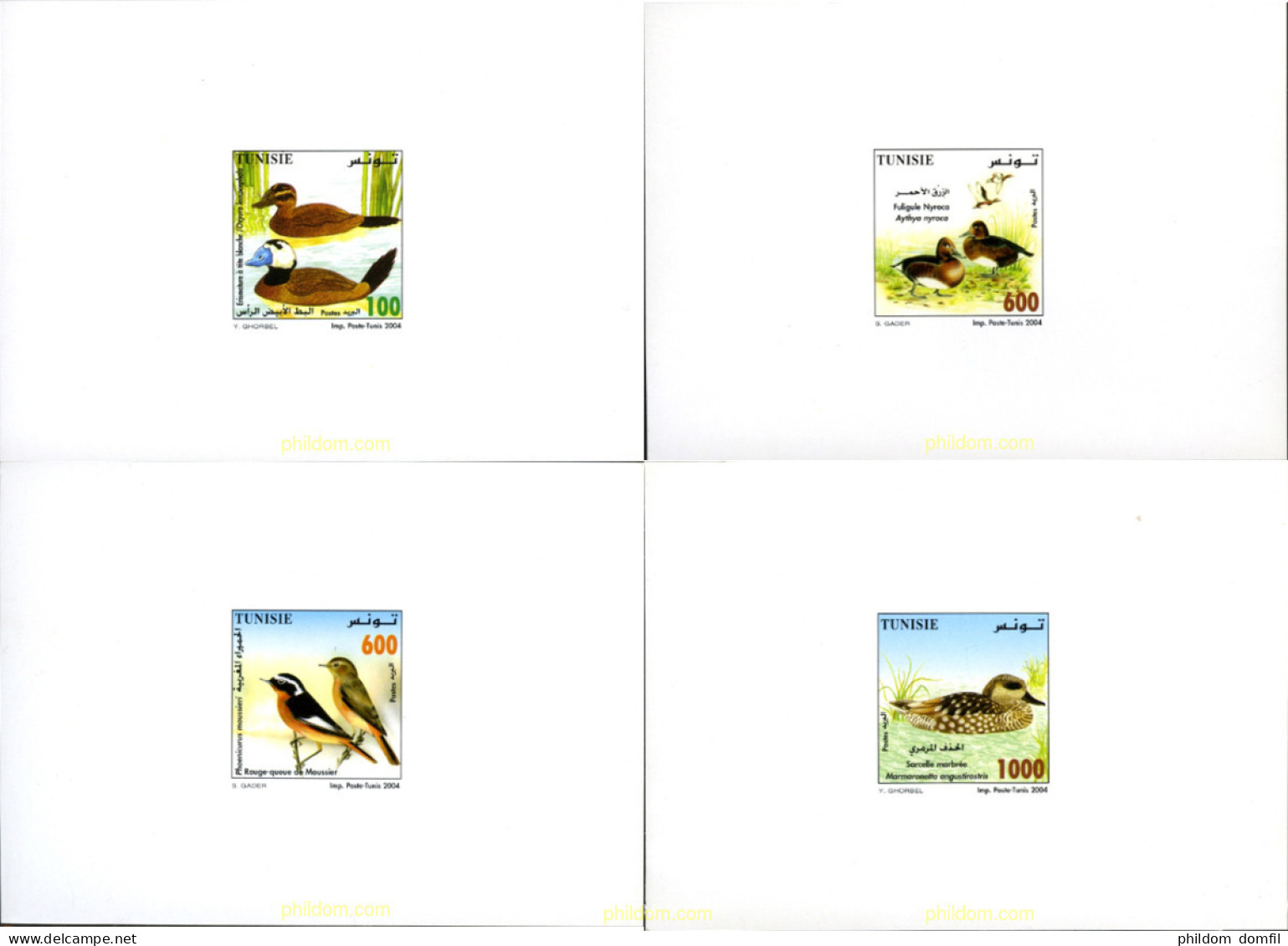 196463 MNH TUNEZ 2004 FAUNA. AVES - Tunisia