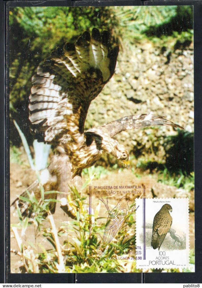 PORTUGAL AZZORRE AZORES AçORES 1988 BIRDS BUTEO BIRD 100e MAXIMUM MAXI CARD CARTE - Azoren