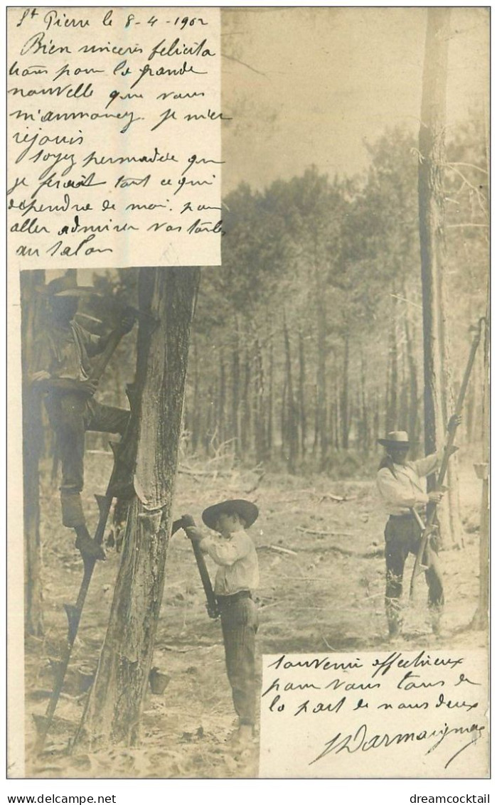 40 LANDES. Résiniers Récolte De La Gemme. Vieux Métiers Dans La Forêt 1902 - Sonstige & Ohne Zuordnung