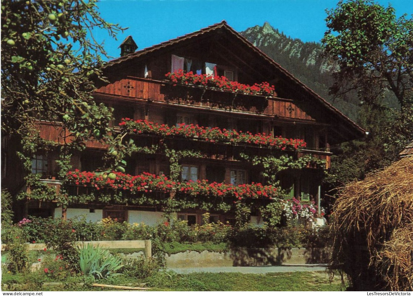 SUISSE - Altes Bauernhaus In Sigriswil (Thunersee) - Vue Générale- Carte Postale - Sigriswil