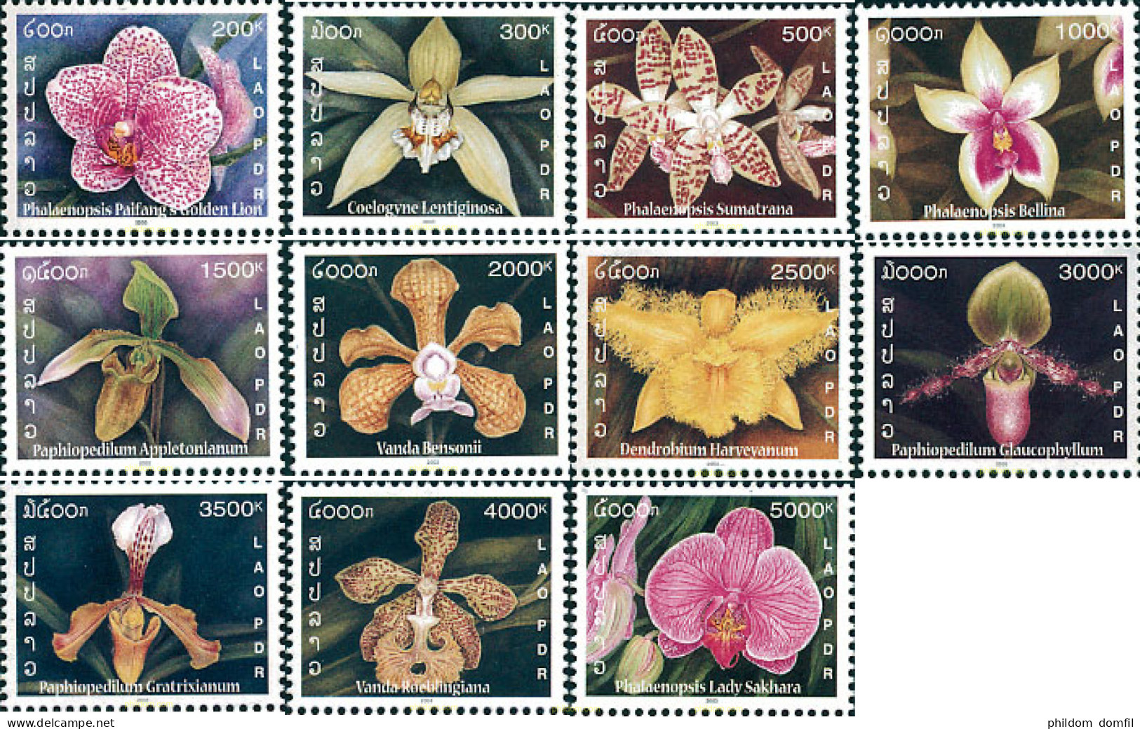 125116 MNH LAOS 2003 ORQUIDEA - Laos