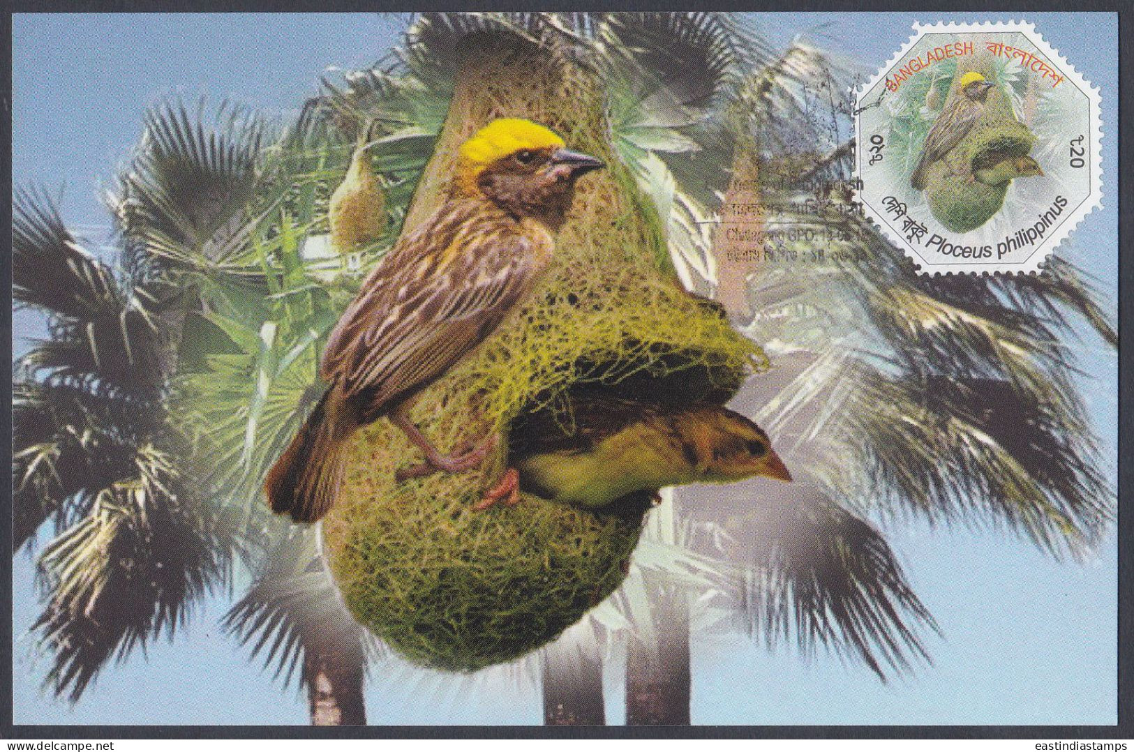 Bangladesh 2012 Postcard Baya Weaver, Bird, Birds - Bangladesch