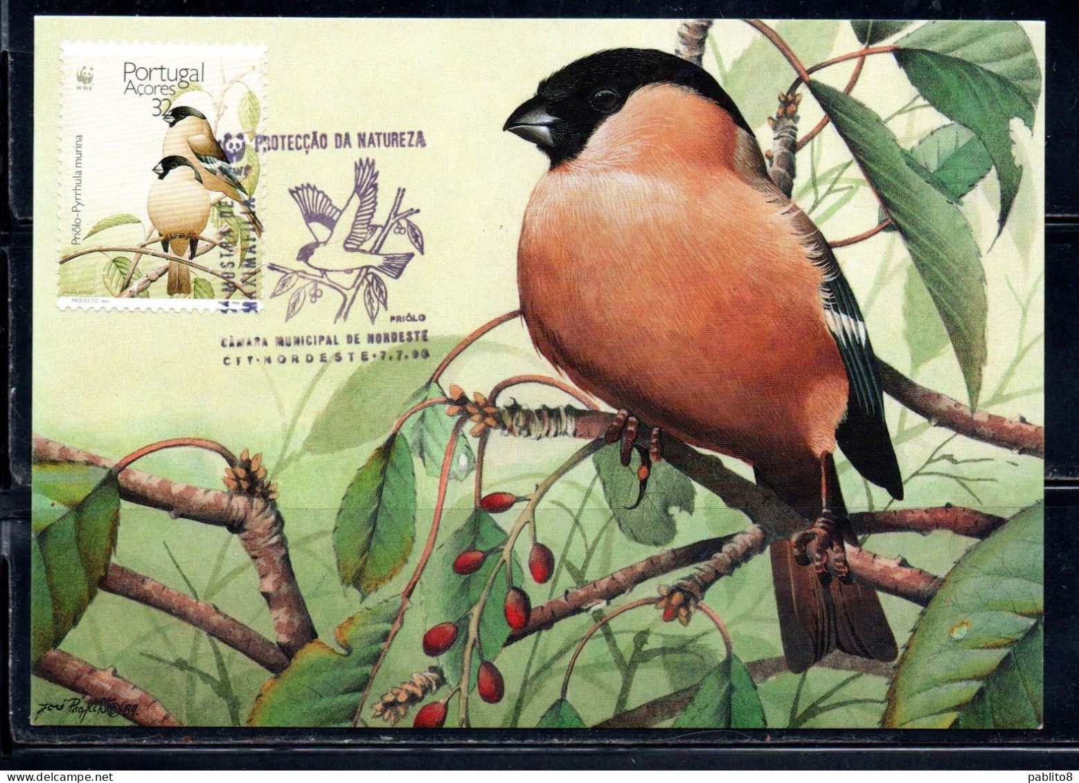 PORTUGAL AZZORRE AZORES AçORES 1990 WWF BIRDS PYHRRULA MURINA TWO ADULTS BIRD 2e MAXIMUM MAXI CARD CARTE - Açores