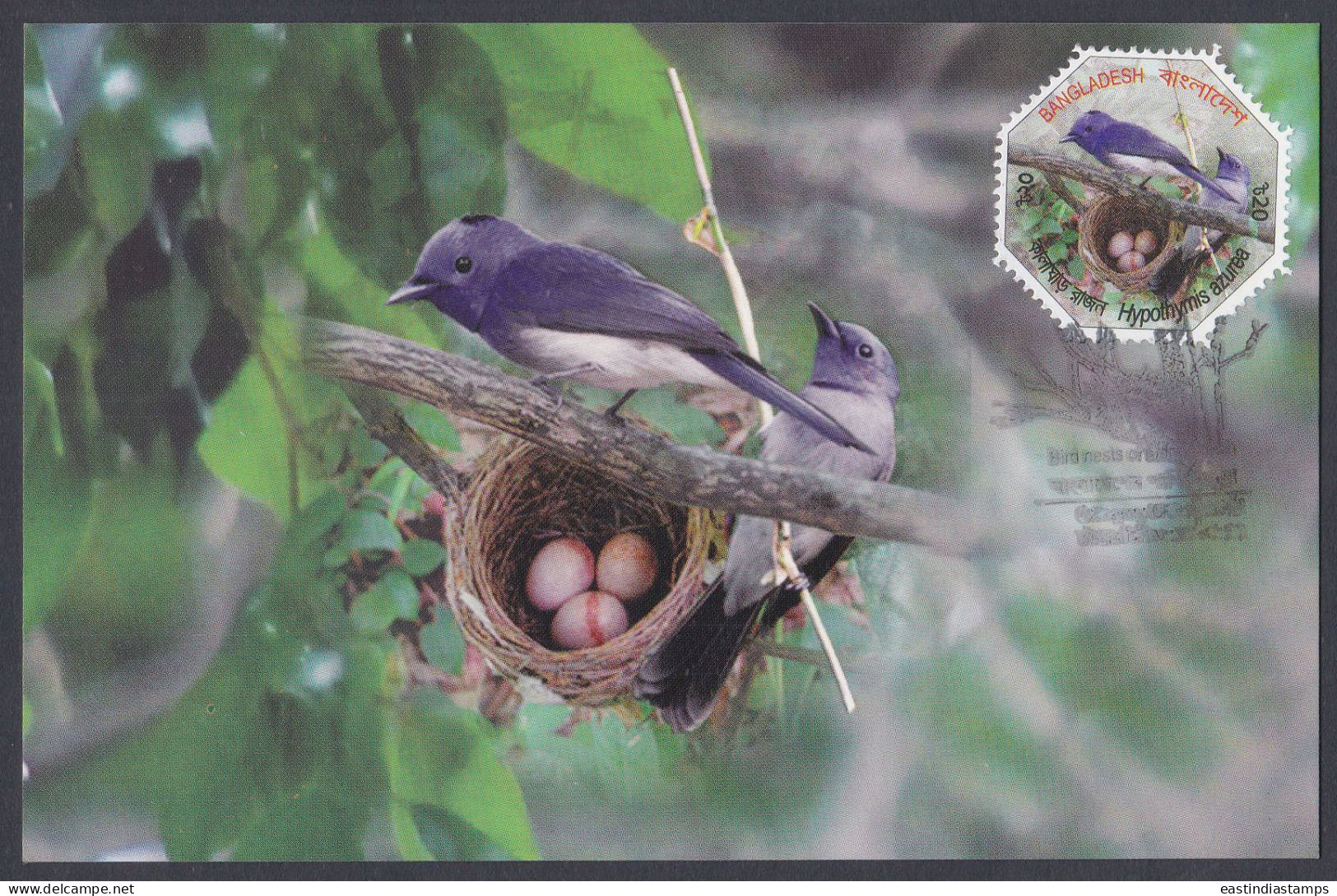 Bangladesh 2012 Postcard BLack-Naped Monarch, Bird, Birds, Odd-shape - Bangladesch