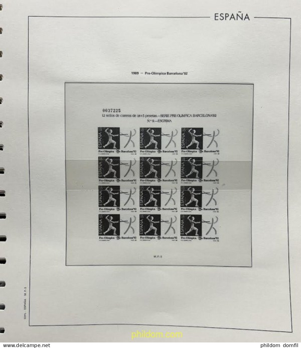 Hoja Suplemento ESPAÑA Edifil 1989 Montado Transparente (minihojas) - Vordruckblätter